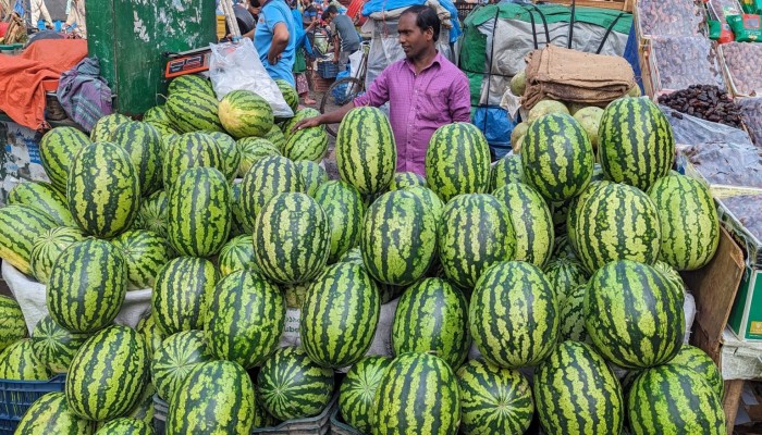 রাজশাহীতে তরমুজের দাম কমলেও মিলছে না ক্রেতা