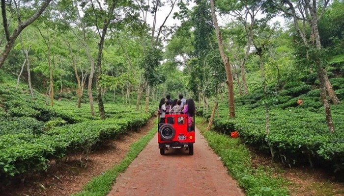 দেশের মধ্যে ভ্রমণে আগ্রহ বাড়ছে