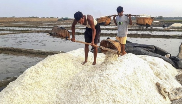 তাপদাহে দেশে লবণ উৎপাদনে রেকর্ড