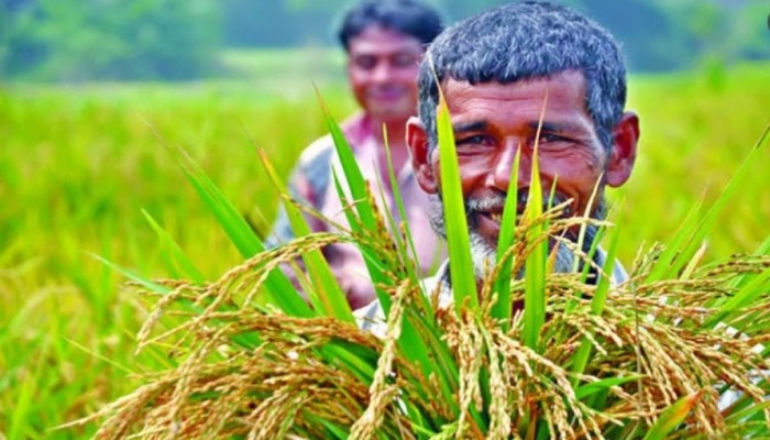 সংশোধিত বাজেটে কৃষি খাতে ভর্তুকি ৮ হাজার কোটি টাকা বেড়েছে