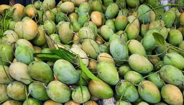 রাজশাহীর বিখ্যাত আম বাজারে আসছে ১৫ মে