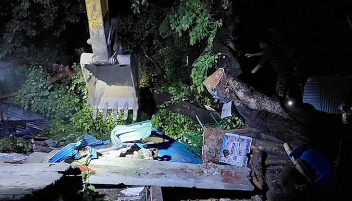 রাজশাহীতে গাছচাপায় নিহত ২