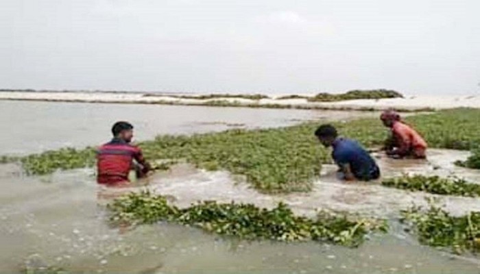 পদ্মায় বাড়ছে পানি, ডুবছে ফসল