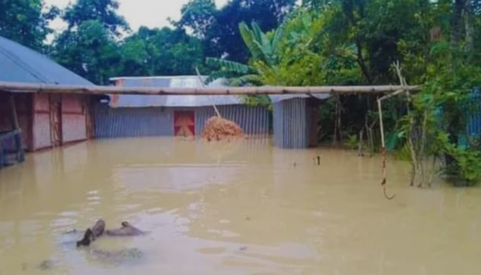 তিন দিনেও মেলেনি কোনো ত্রাণ সহায়তা