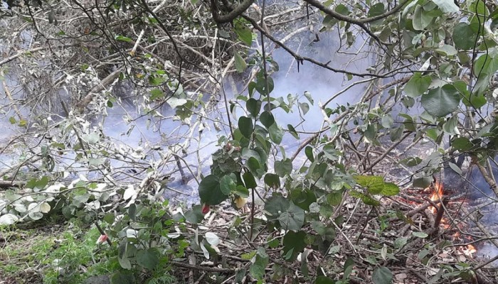 সুন্দরবনের আধা কিলোমিটারজুড়ে আগুন, কাজ করছে ফায়ার সার্ভিসের ৬ ইউনিট
