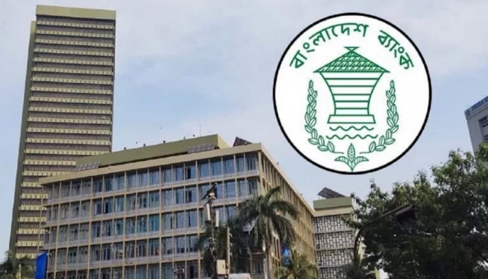 দুর্বল ব্যাংকের ব্যবস্থাপনায় বাড়তি ক্ষমতা পাচ্ছে বাংলাদেশ ব্যাংক
