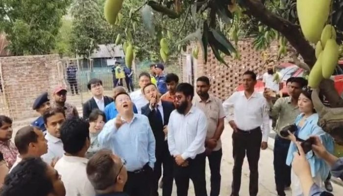 বাংলাদেশ থেকে আম নিতে আগ্রহী চীন