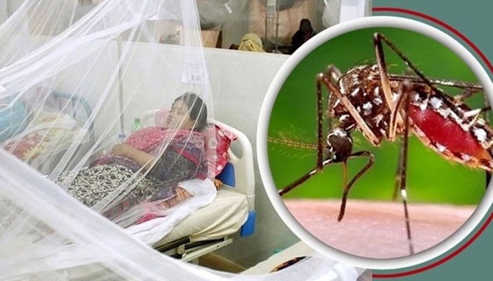 ২৪ ঘণ্টায় ডেঙ্গুতে রেকর্ড সংখ্যক আক্রান্ত