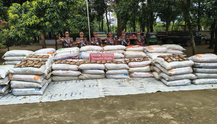 বিশ্বম্ভরপুরে ট্রাকসহ জব্দ ৫৪ লাখ টাকার ভারতীয় ফুচকা