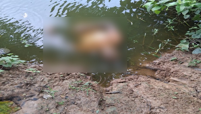 রাজশাহী তানোরে  পানিতে ডুবে যুবকের মৃত্যু