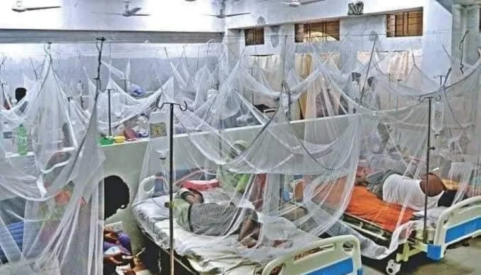 ডেঙ্গু আক্রান্ত হয়ে হাসপাতালে আরও ১৩৮ জন