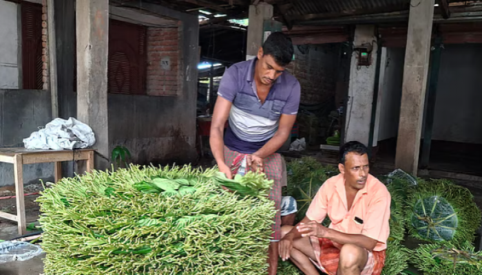 রাজশাহীতে ৬৪টি পানের দাম এখন মাত্র ৪ টাকা