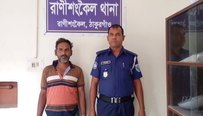 রাণীশংকৈলে ৩১ পিস ইয়াবসহ মাদক ব্যবসায়ী আটক