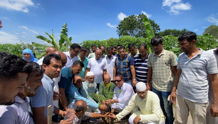 বিএনপির ৪৭তম প্রতিষ্ঠাবার্ষিকী উপলক্ষে রাজশাহীতে বৃক্ষরোপণ কর্মসূচি