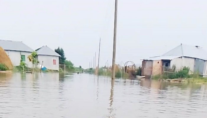 ফের বেড়েছে পদ্মার পানি, বিপাকে ১৫টি চরের মানুষ