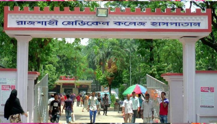 রাজশাহীতে সাপের উৎপাত: ৮ মাসে ৯০০ দংশন, প্রাণ গেল ২৮ জনের