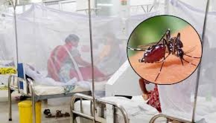 ডেঙ্গুতে আরো ২ জনের মৃত্যু, হাসপাতালে ৬৭৮