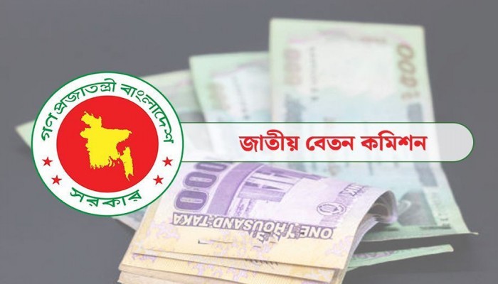 স্বতন্ত্র বেতন কাঠামো, গাড়ি-বাড়ির জন্য বিনা সুদে ঋণ চান বিশ্ববিদ্যালয় শিক্ষকরা