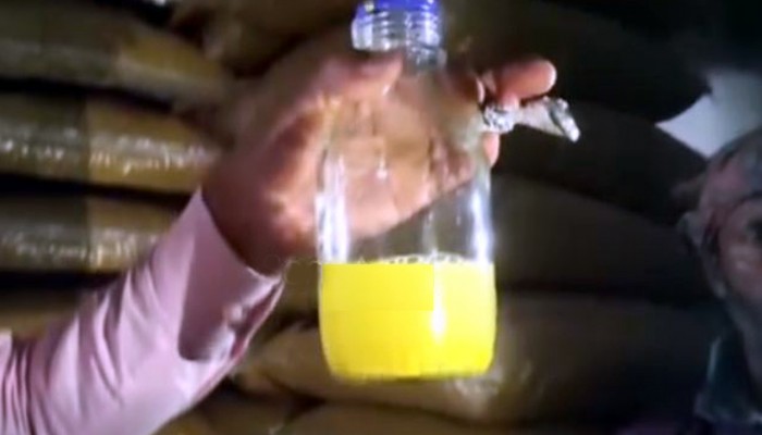 রাজশাহীতে ১২ টন রঙ মেশানো মুগডাল জব্দ, ২ লাখ টাকা জরিমানা