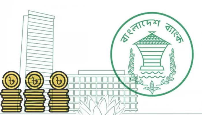 ই-মানি ইস্যু করতে পারবে ব্যাংক বহির্ভূত প্রতিষ্ঠান