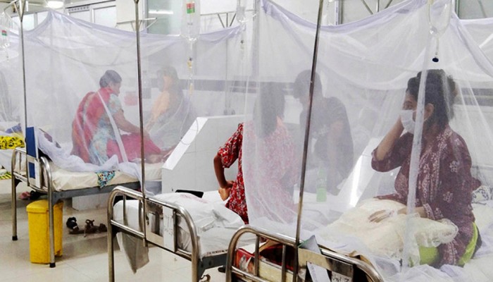 ডেঙ্গুতে গেল আরো ৩ প্রাণ