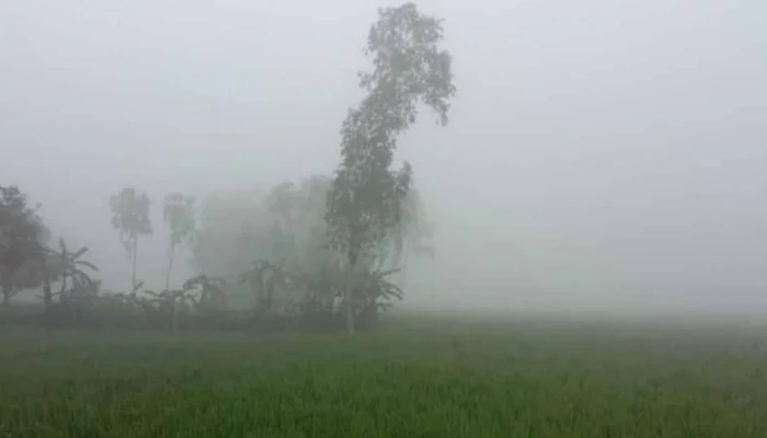 তেঁতুলিয়ায় তাপমাত্রা নেমেছে ১৩.২ ডিগ্রি সেলসিয়াসে