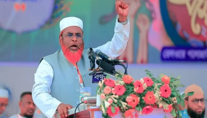 জাতীয় নির্বাচনের আগেই গণভোট দেন, সরকারকে সংকটে ফেলতে চাই না’