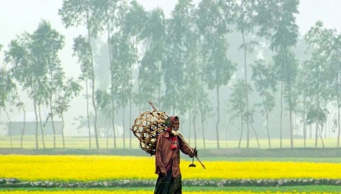 রাজশাহীতে হিমেল বাতাসে বেড়েছে শীতের তীব্রতা
