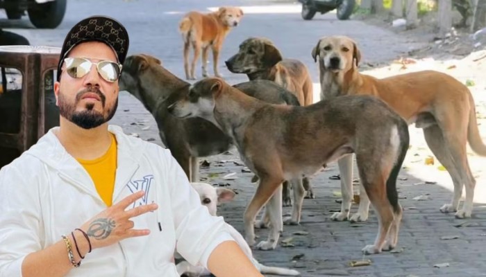 রাস্তার কুকুরদের জন্য ১০ একর জমি দানের ঘোষণা অভিনেতার