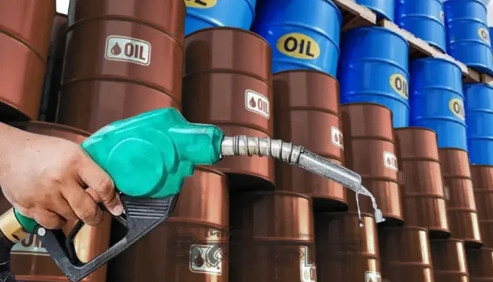 ‘জ্বালানি তেল নিয়ে উদ্বিগ্ন হওয়ার কারণ নেই’