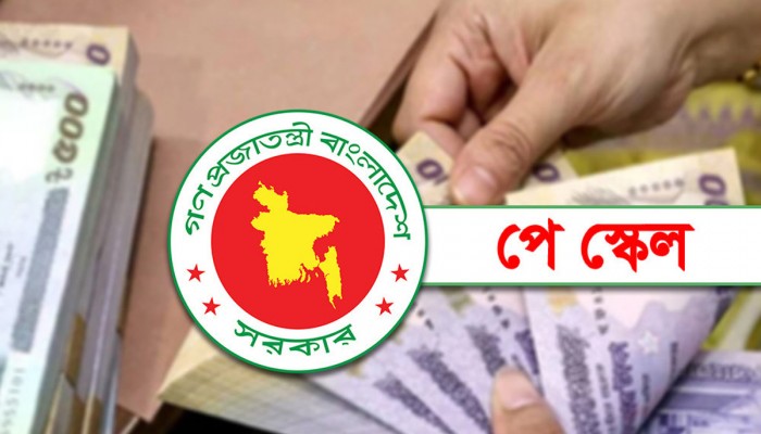 পে স্কেলের দাবিতে প্রধানমন্ত্রীকে দেওয়া স্মারকলিপিতে যা আছে