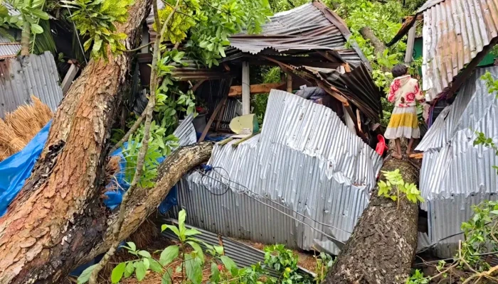 কালবৈশাখীর তাণ্ডবে লন্ডভন্ড ঠাকুরগাঁও
