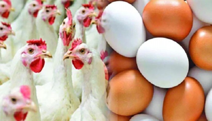 ডিমের বাজারেও গরমের তাপ