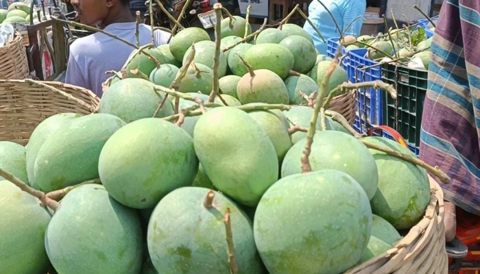 আম ভাঙার ক্যালেন্ডার ঘোষণা