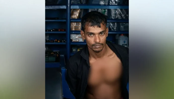 দাদিকে কুপিয়ে হত্যার ঘটনায় নাতি আটক