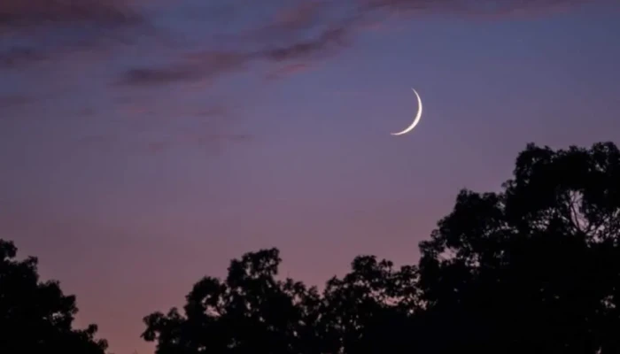 তুরস্ক ও তিউনিসিয়ায় ঈদুল আজহার তারিখ ঘোষণা