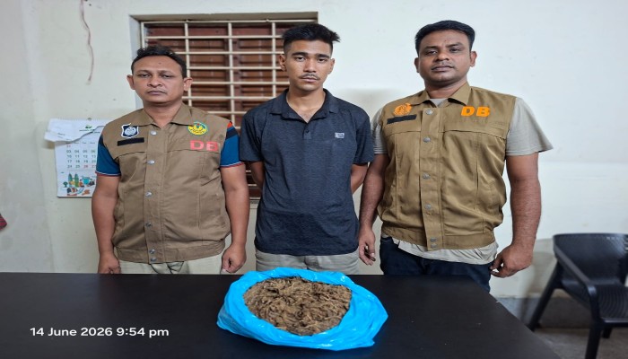 রাজশাহীতে ১ কেজি গাঁজাসহ মাদক ব্যবসায়ী গ্রেপ্তার