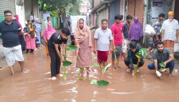 সড়কে হাঁটুপানি, কচুগাছ লাগিয়ে প্রতিবাদ স্থানীয়দের