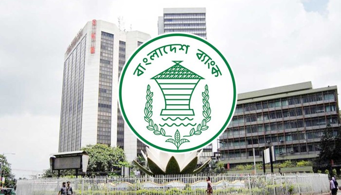 অন্তর্বর্তী সরকারের সময়ে কোটি টাকার ব্যাংক হিসাব বেড়েছে ৭ হাজার