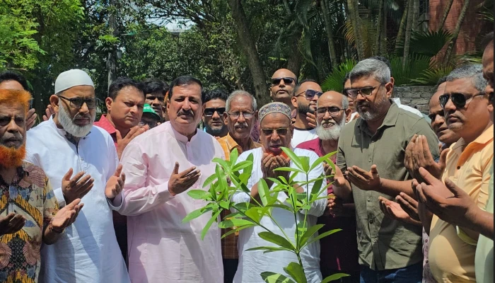 রাজশাহীকে সবুজ নগরী গড়তে আরডিএর বৃক্ষরোপণ কর্মসূচি