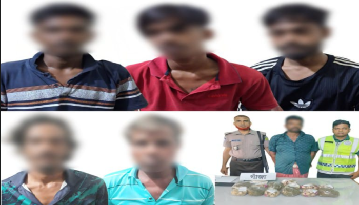 রাজশাহীতে পুলিশের বিশেষ অভিযান: ইয়াবা, ট্যাপেন্টাডল ও গাঁজাসহ ৬ মাদক ব্যবসায়ী গ্রেপ্তার