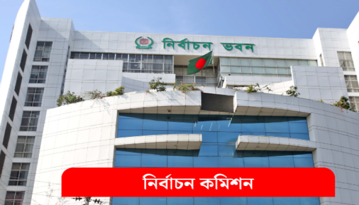 নভেম্বরে স্থানীয় সরকার নির্বাচনের পরিকল্পনা ইসির
