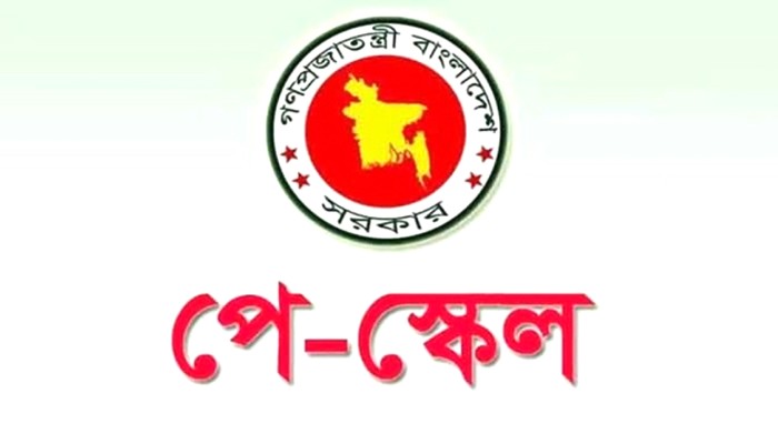 পে স্কেলে বাড়িভাড়া-শিক্ষা ভাতা বৃদ্ধিসহ দুই ধাপে বাস্তবায়ন দাবি