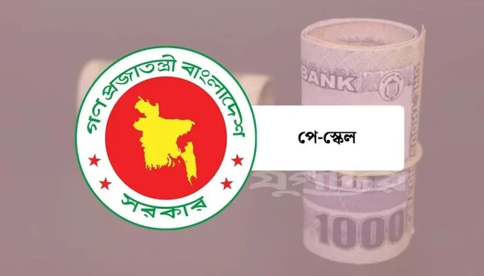 নবম বেতন স্কেল: যে গ্রেডে নতুন ‘জটিলতা’