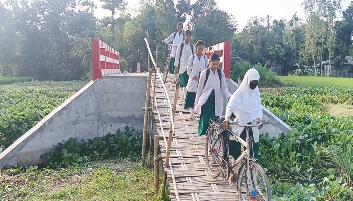ব্রিজ আছে সংযোগ সড়ক নেই, বাঁশের চাটাই বেয়ে পারাপার