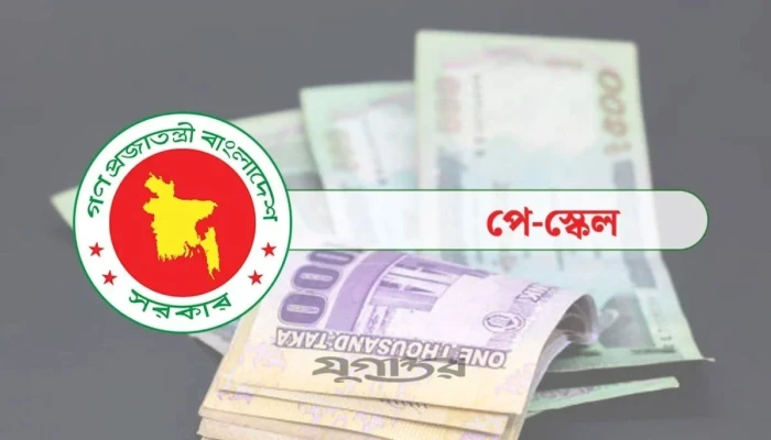 পে-স্কেল: বেতন বিল দাখিল নিয়ে উদ্বেগে সরকারি কর্মচারীরা